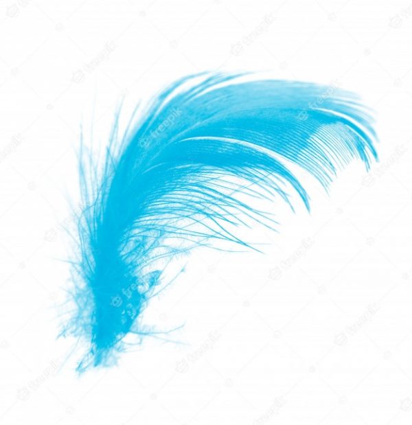 PLUMAS X 50