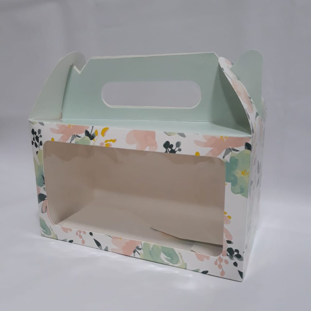 Cajita feliz c/visor (24x14x12)