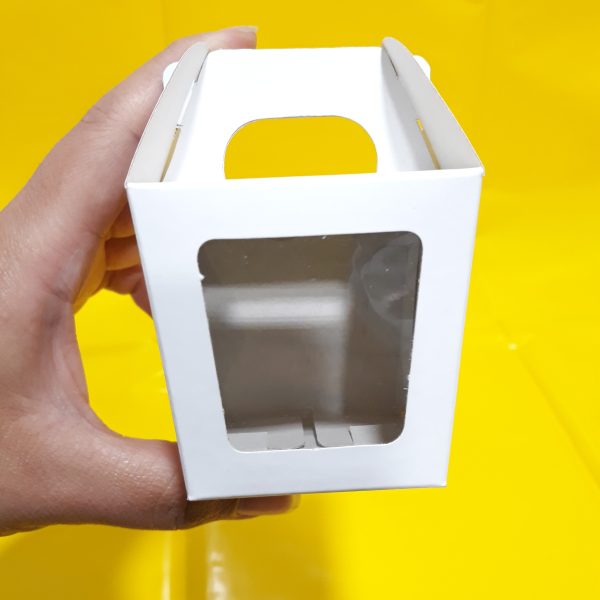 Caja Farol chico c/visor 5x5x7 - Imagen 2