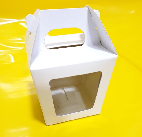 Caja Farol Grande c/visor 8x8