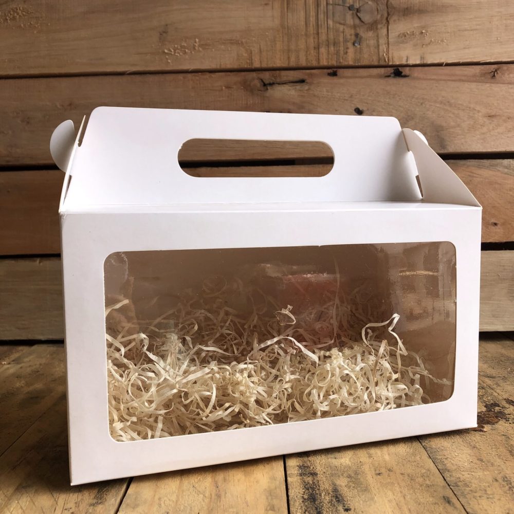 Caja Maletin Grande c/visor 24x16x12