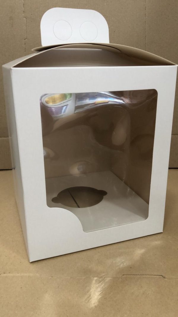 Caja maletin p/huevo 15 x 15