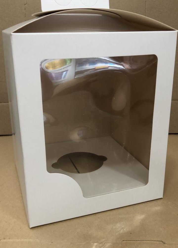 Caja maletin p/huevo 15 x 15