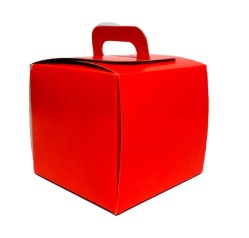Caja maletin 12x12x11