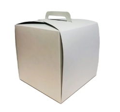 Caja maletin 18x18x18