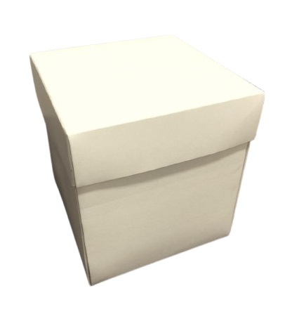 Caja explosiva 17x17x20